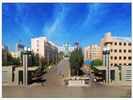 女孩初中毕业学什么好